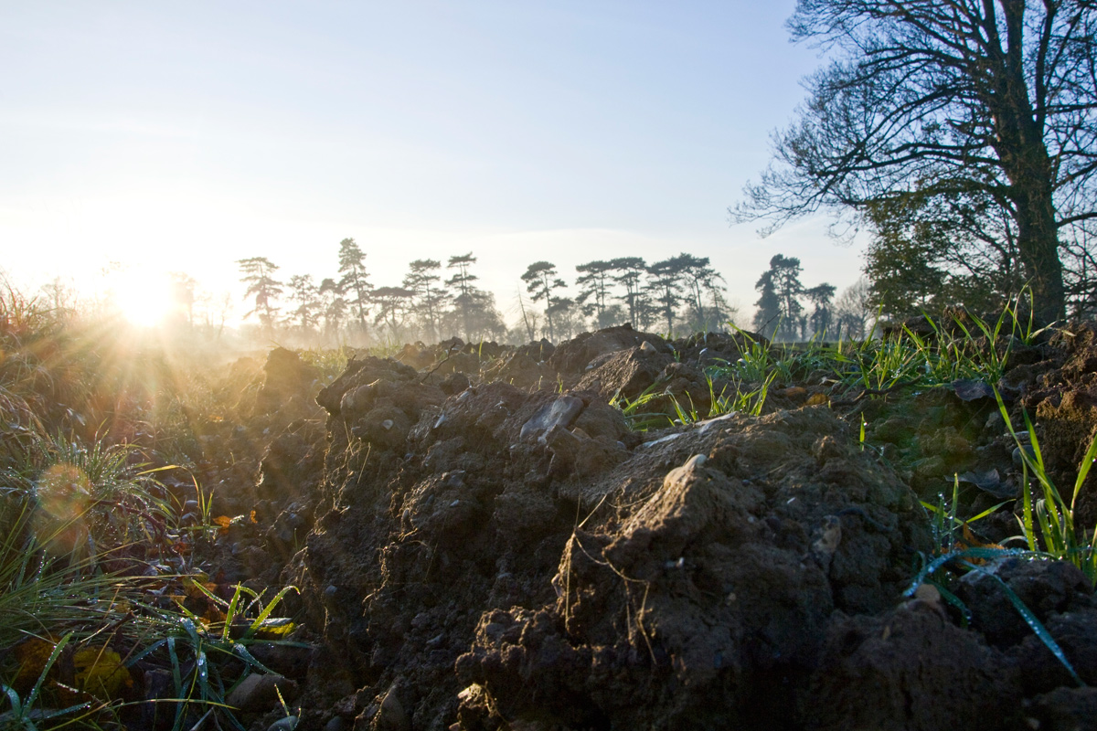 Winter soil