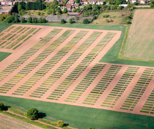 aerial fields view