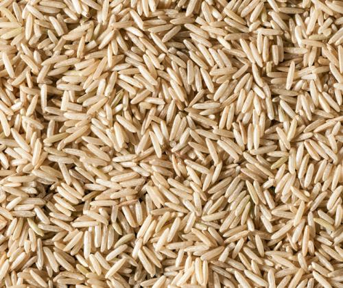 rice grains